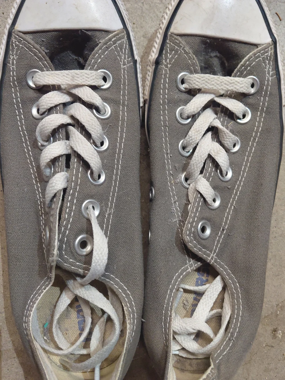 Converse All Star Low-Top Canvas Sneakers in Gray with White M SZ 6/W SZ 8